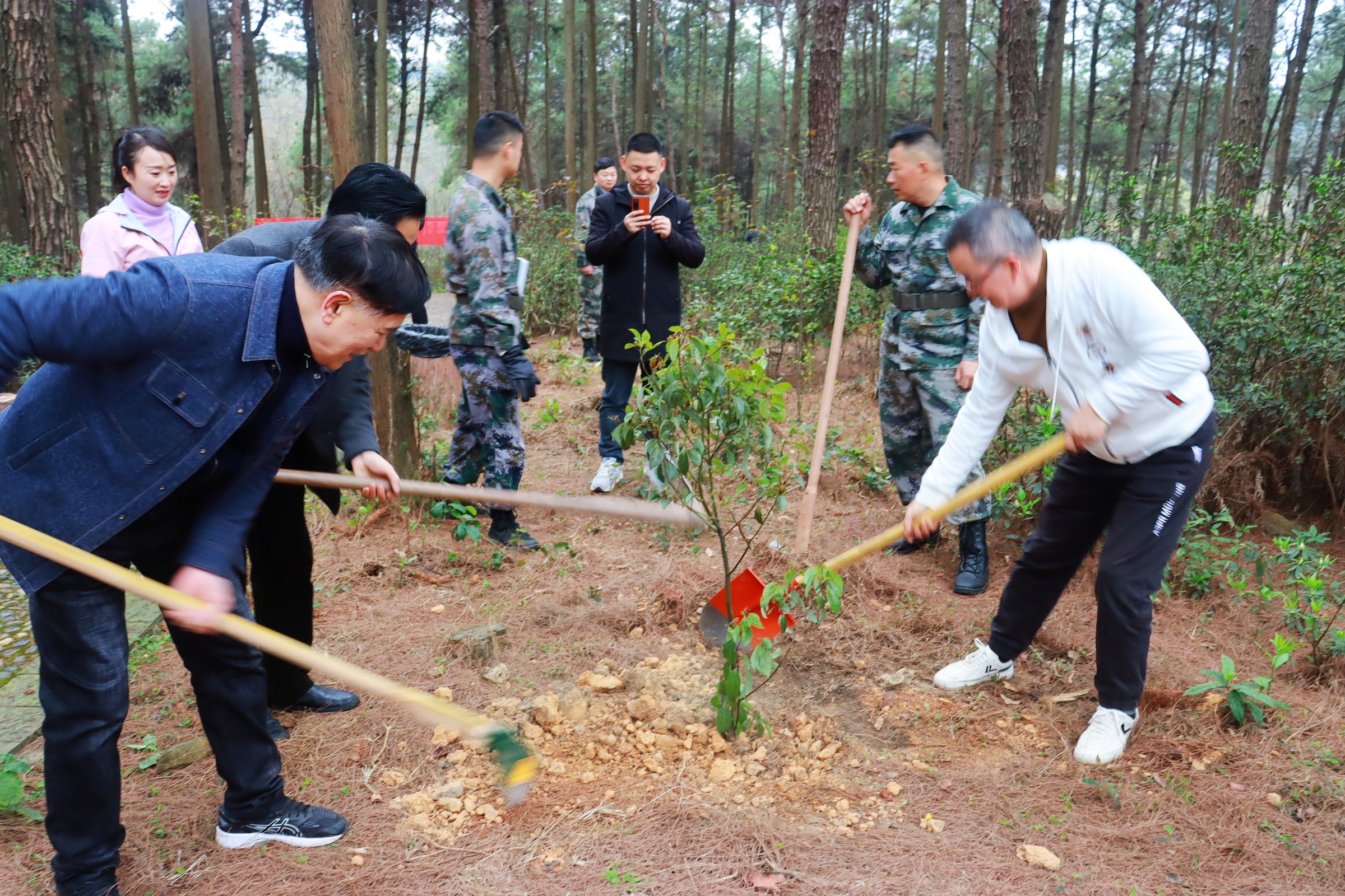 尊龙凯时 - 人生就是搏!